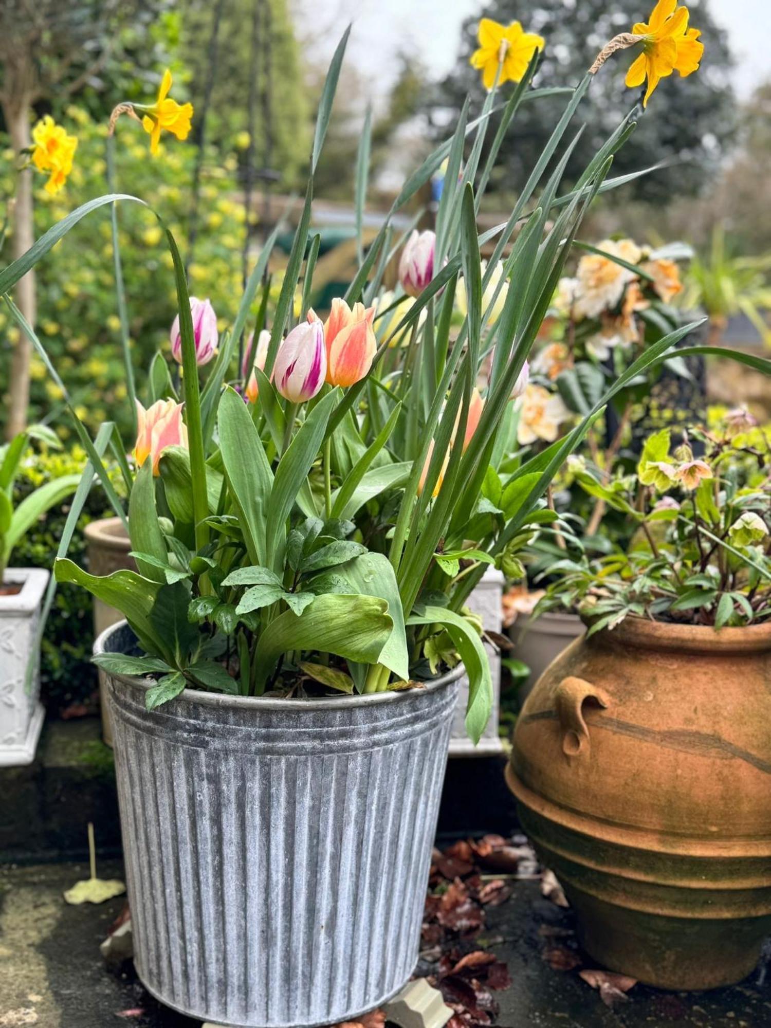 'Bramley Fall Cottage' ' On Site Ev Point - Attached Cottage,3 Separate Bedrooms -1 On Ground Level, Sleeps 6, 2 Bathrooms, Sandy Wittering Beach 8Min Drive, Rural Location, Child Friendly, Small Breed Dog Friendly, Private Parking Chichester Luaran gambar