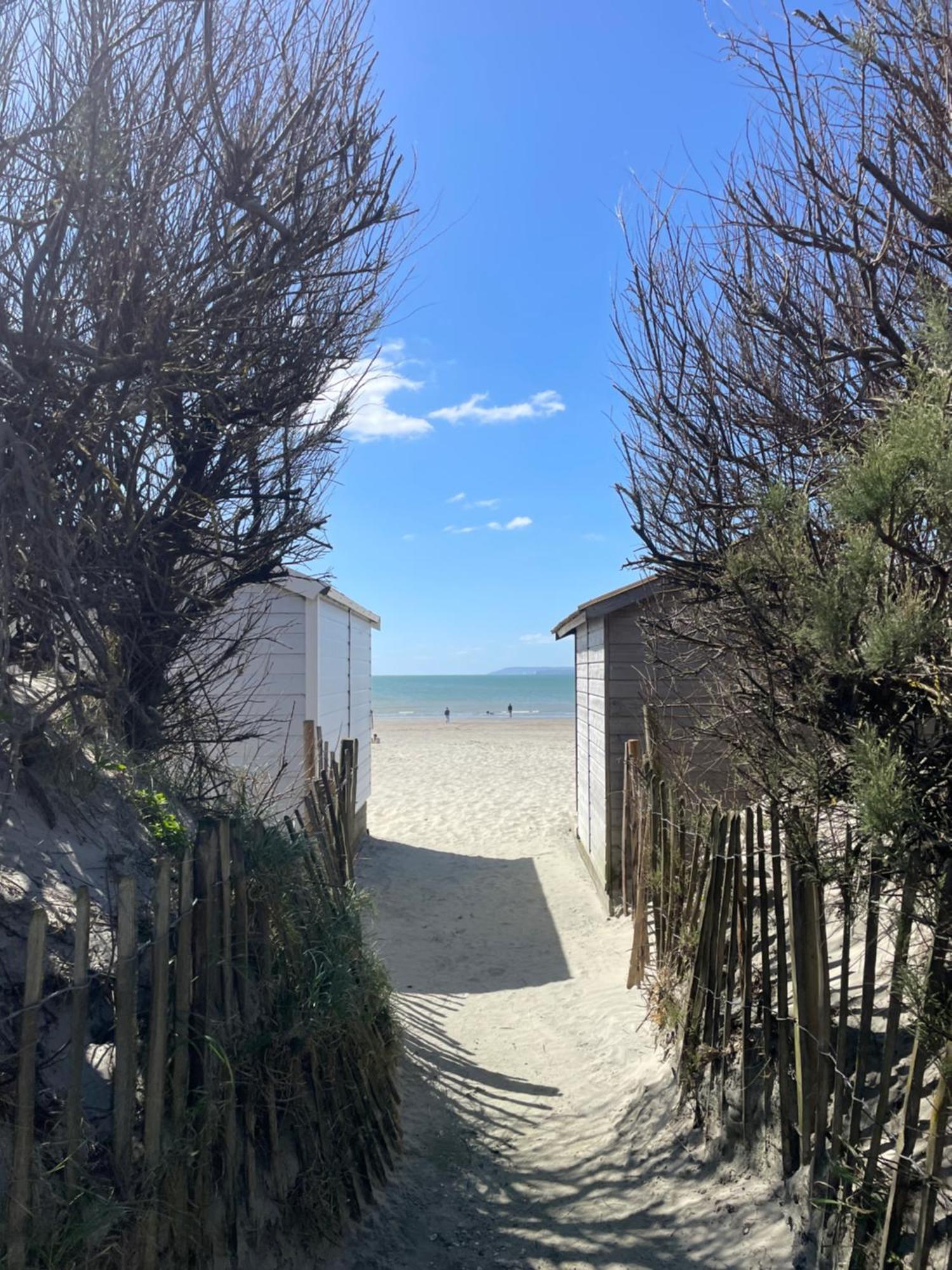 'Bramley Fall Cottage' ' On Site Ev Point - Attached Cottage,3 Separate Bedrooms -1 On Ground Level, Sleeps 6, 2 Bathrooms, Sandy Wittering Beach 8Min Drive, Rural Location, Child Friendly, Small Breed Dog Friendly, Private Parking Chichester Luaran gambar